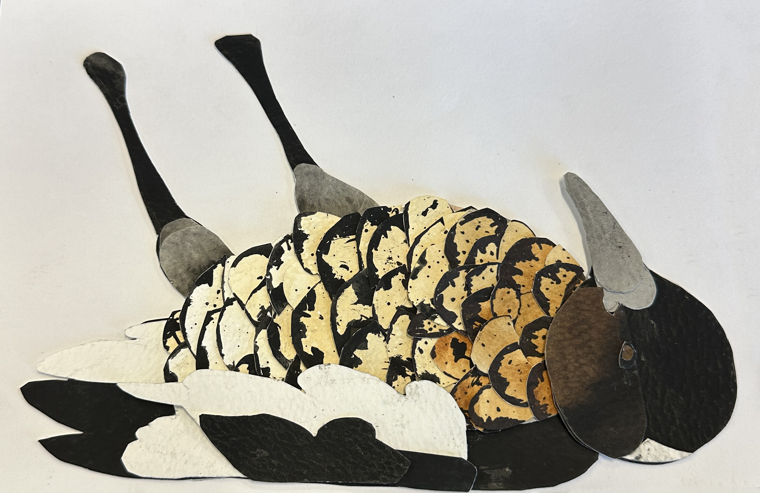 /uploaded_files/media/gallery/1745907772Chloe - CAT 2 Final Artwork.JPG